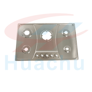 HC-P02