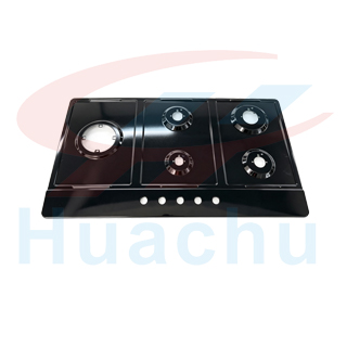 HC-P09